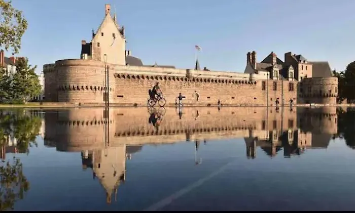 公寓 Hygge Loft Gare Tgv Jardin Des Plantes