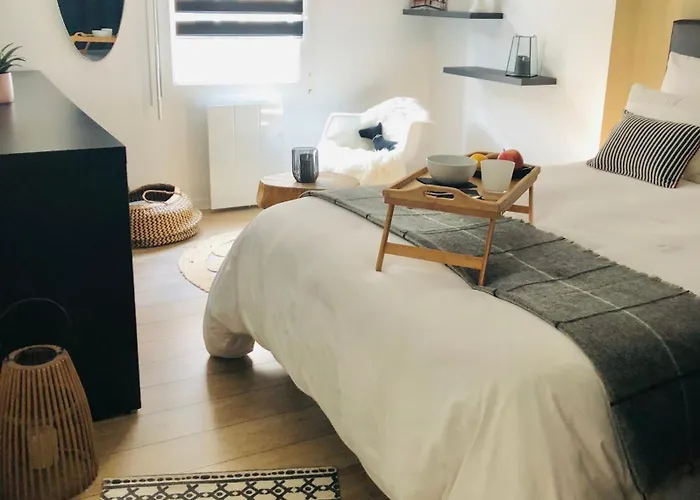 Hygge Loft Gare Tgv Jardin Des Plantes Apartament Nantes